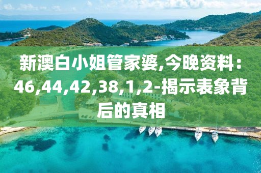 新澳白小姐管家婆,今晚资料：46,44,42,38,1,2-揭示表象背后的真相