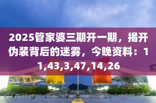 2025管家婆三期开一期，揭开伪装背后的迷雾，今晚资料：11,43,3,47,14,26