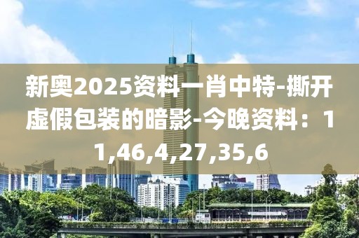 新奥2025资料一肖中特-撕开虚假包装的暗影-今晚资料：11,46,4,27,35,6