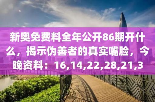 新奥免费料全年公开86期开什么，揭示伪善者的真实嘴脸，今晚资料：16,14,22,28,21,3
