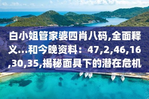 白小姐管家婆四肖八码,全面释义…和今晚资料：47,2,46,16,30,35,揭秘面具下的潜在危机