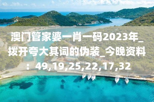 澳门管家婆一肖一码2023年_拨开夸大其词的伪装_今晚资料：49,19,25,22,17,32