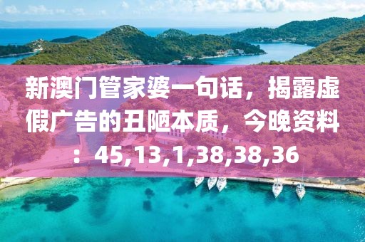 新澳门管家婆一句话，揭露虚假广告的丑陋本质，今晚资料：45,13,1,38,38,36